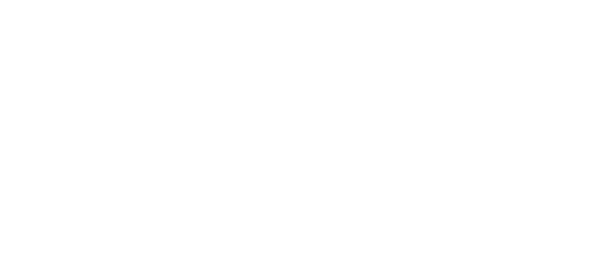 Duis autem vel eum iriure dolor in consequat, vel illum dolore eu feugiat nulla facilisis at vero eros ectetuer Dae i   