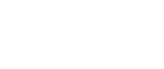 Duis autem vel eum iriure dolor in consequat, vel illum dolore eu feugiat nulla facilisis at vero eros ectetuer Dae i   