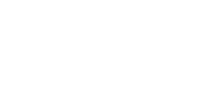 Duis autem vel eum iriure dolor in consequat, vel illum dolore eu feugiat nulla facilisis at vero eros ectetuer Dae i   